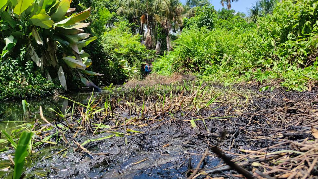 Denuncian derrame de petróleo en parroquia La Pica en Monagas