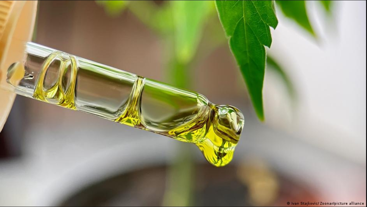 España ampliará el uso medicinal del cannabis antes de fin de año