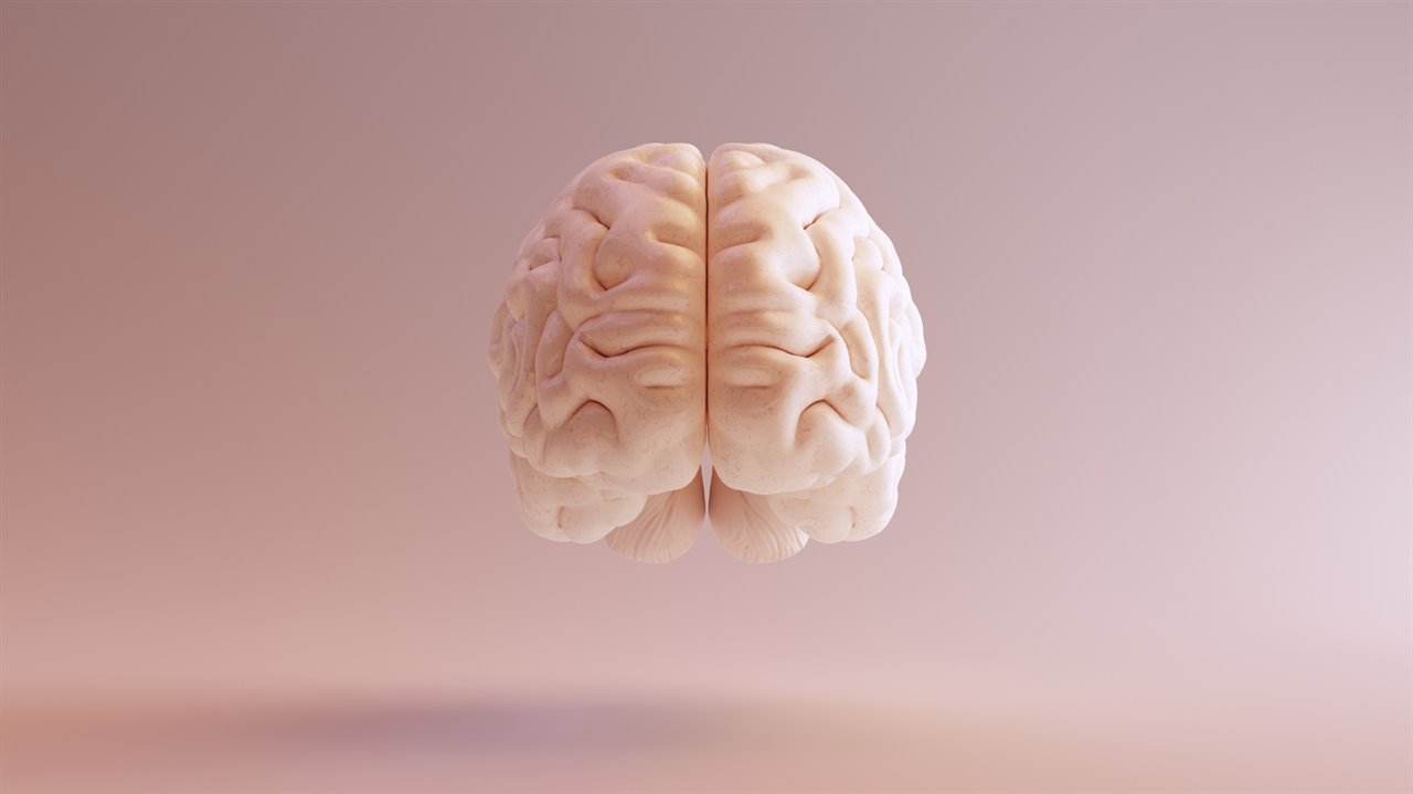 Cambios mensuales en el cerebro femenino