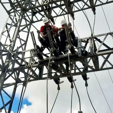 Reemplazarán torres eléctricas en el sur de Monagas con postes de 20 metros