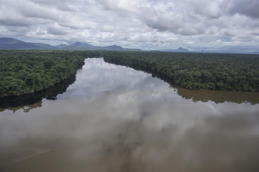Fundaredes denuncia destrucción de más de 1.200 hectáreas de selva virgen