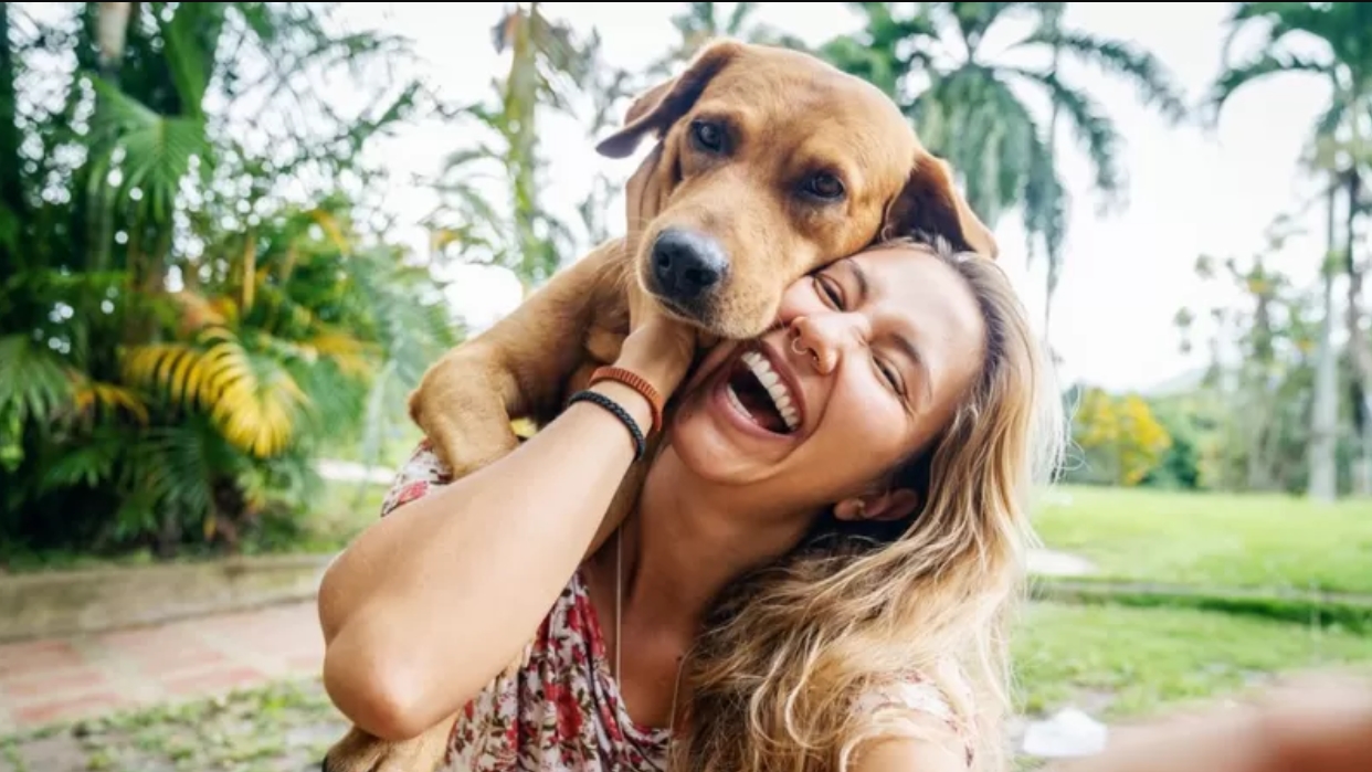 “Mira, Aquí está la pelota": Cómo nuestros perros entienden las palabras