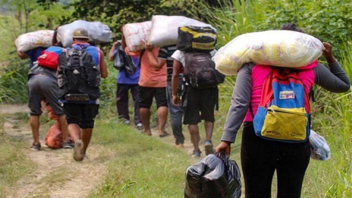 Nueve venezolanos cruzan la selva del Darién cada hora
