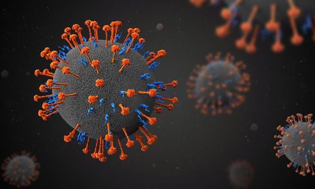 Detectan en China 35 casos en humanos de un nuevo virus de origen animal