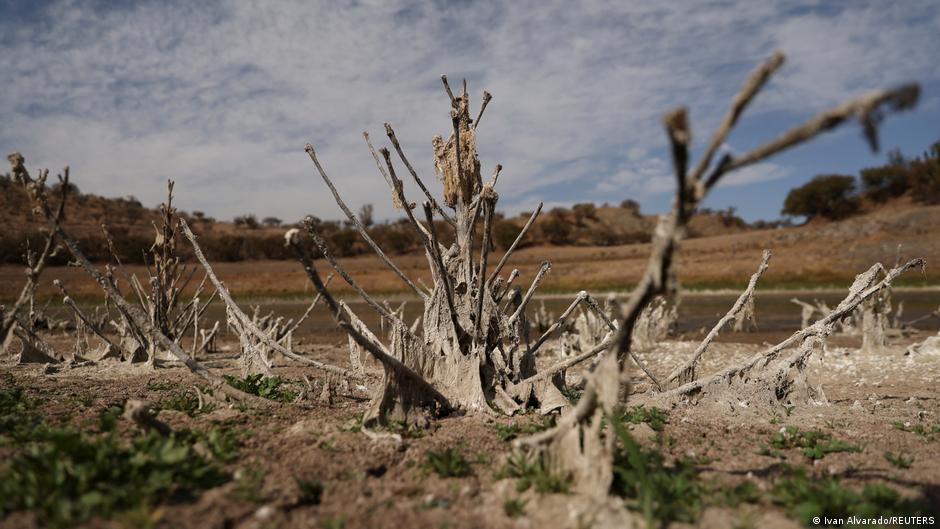 América Latina sedienta: los estragos de la sequía