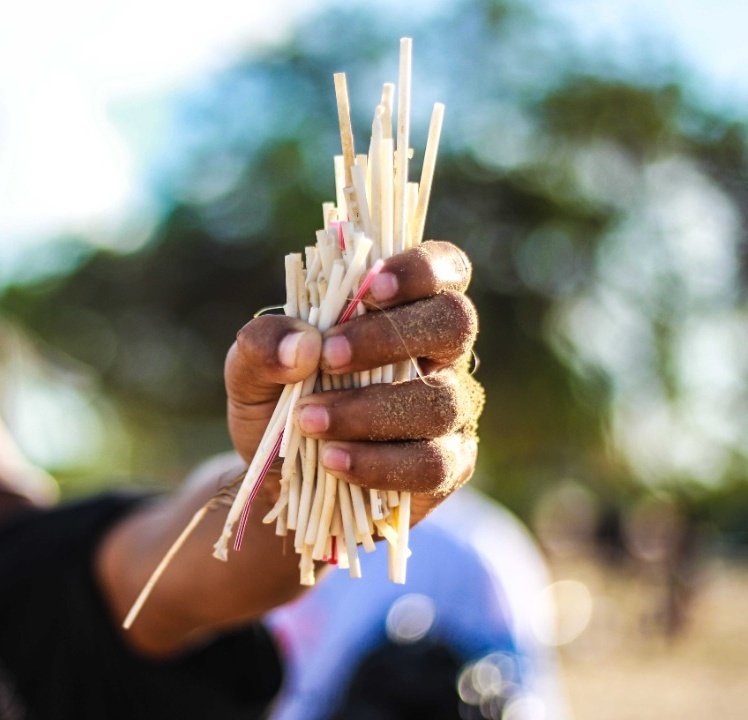 Palitos de chupeta en playas venezolanas