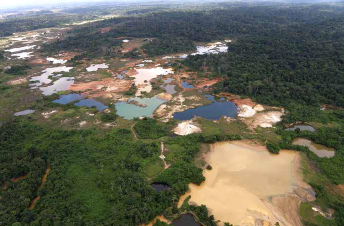 Deforestación en Venezuela