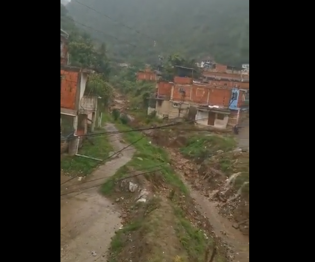 Curucutí