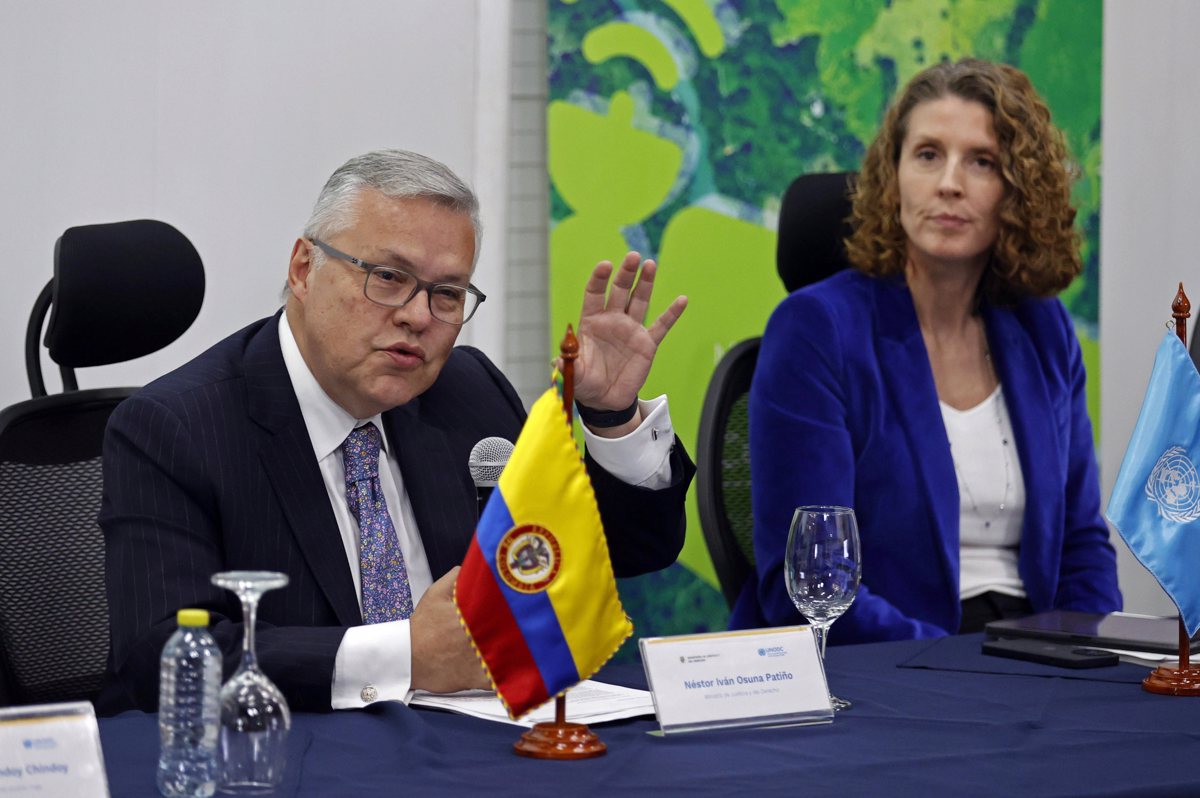 Cultivos de coca se disparan en Colombia con crecimiento del 43 % en 2021