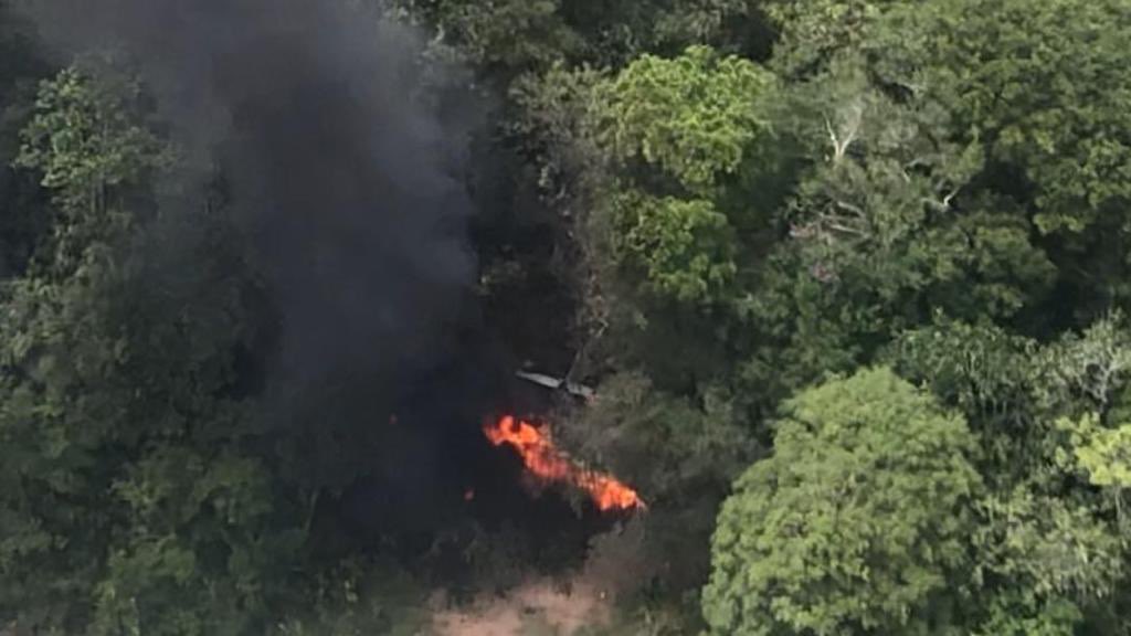 Fuerza Armada "ha inutilizado" 33  aviones vinculados al narcotráfico este año