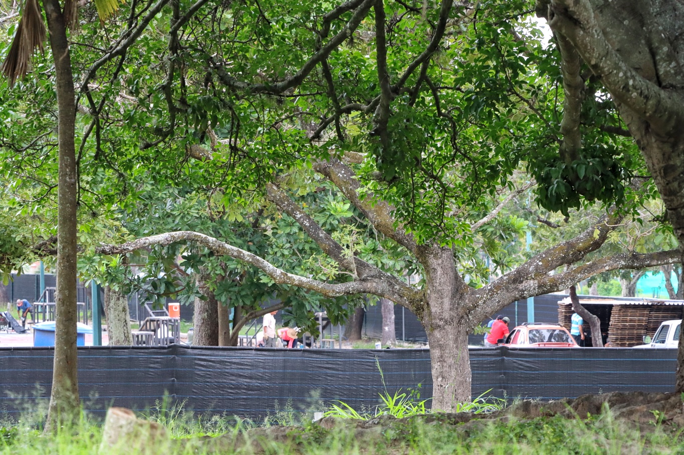 Parque del este- construcción en las canchas (Mairet Chourio)