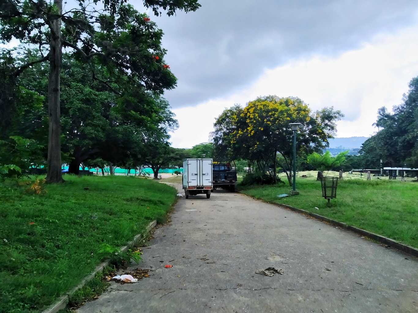 Parque del este- entre la maleza y la tala de árboles (Mairet Chourio)