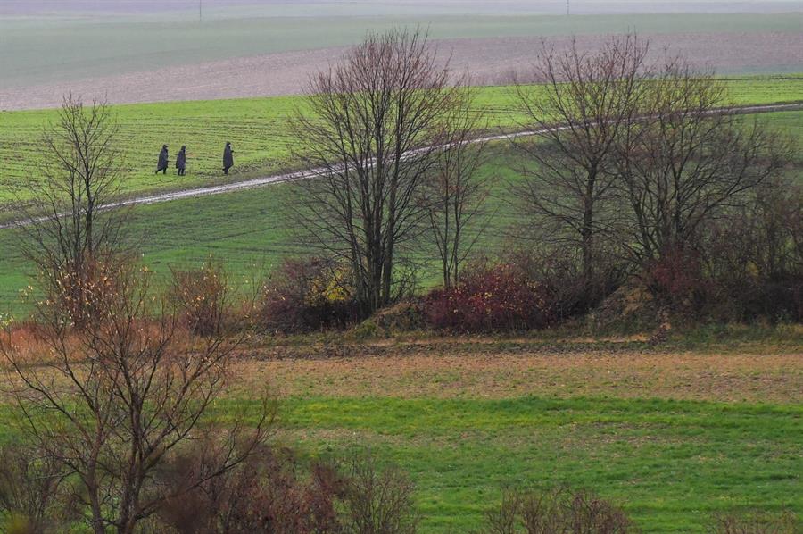 Polonia dice es "probable" que misil se lanzó desde Ucrania y no invocará a la Otan