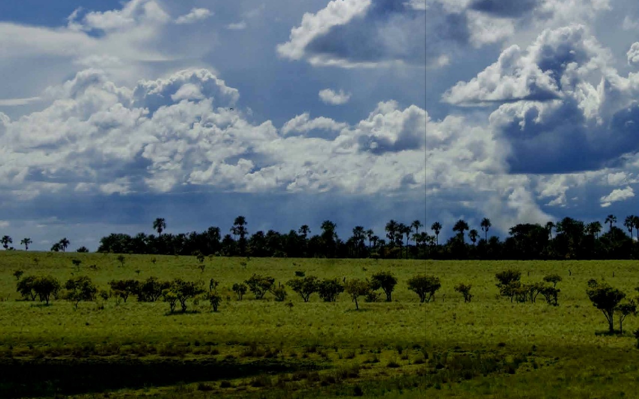 Faja Petrolífera del Orinoco