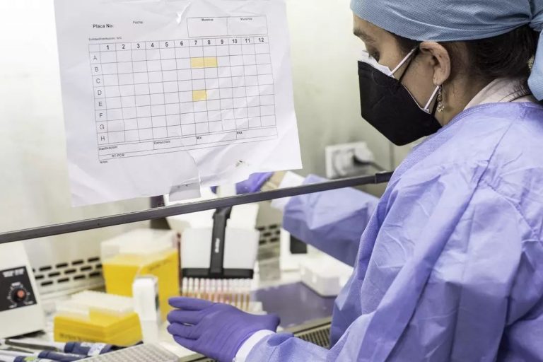 Venezuela se mantiene sin casos humanos de gripe aviar, según OPS