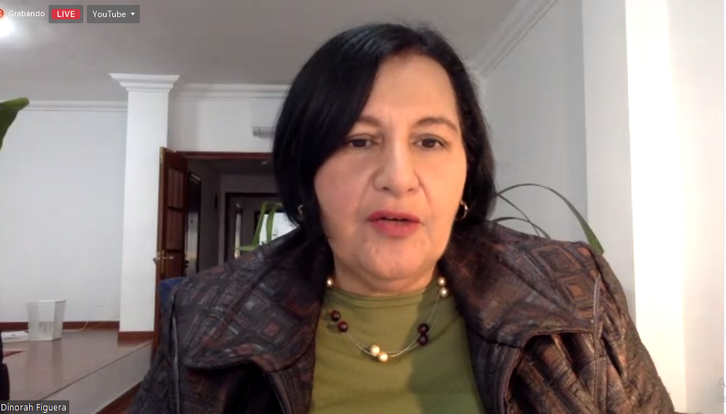 AN de 2015 solo tendrá representación diplomática en cinco países dice Dinorah Figuera