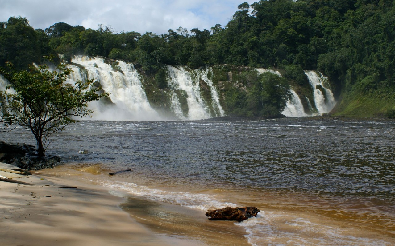 Biodiversidad de Venezuela