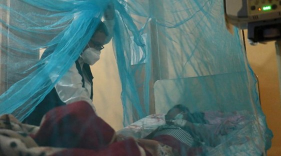 Detectados casi 90 casos de malaria en Amazonas