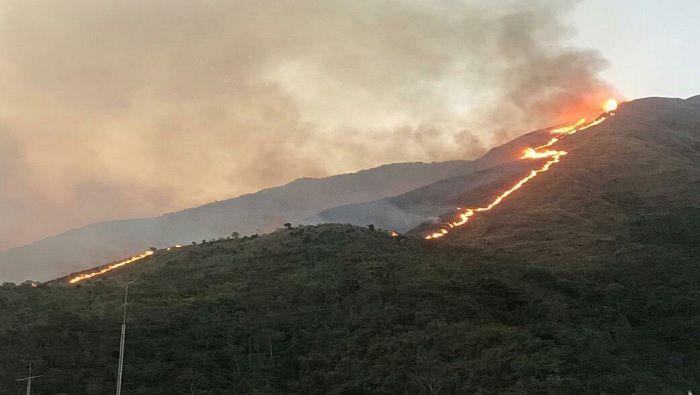 incendios forestales