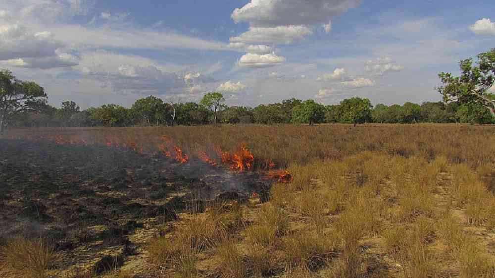 Probabilidad de incendios foretales en el país se incrementa un 42 %, señala el Inameh