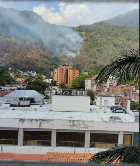 forestal