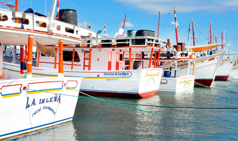 Pesca de altura en Nueva Esparta sin faenar por limitaciones con el combustible