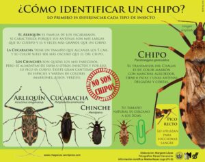El Chagas