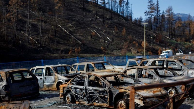 El fenómeno de las olas de calor "estadísticamente imposibles" (y qué regiones están en riesgo de padecerlas)
