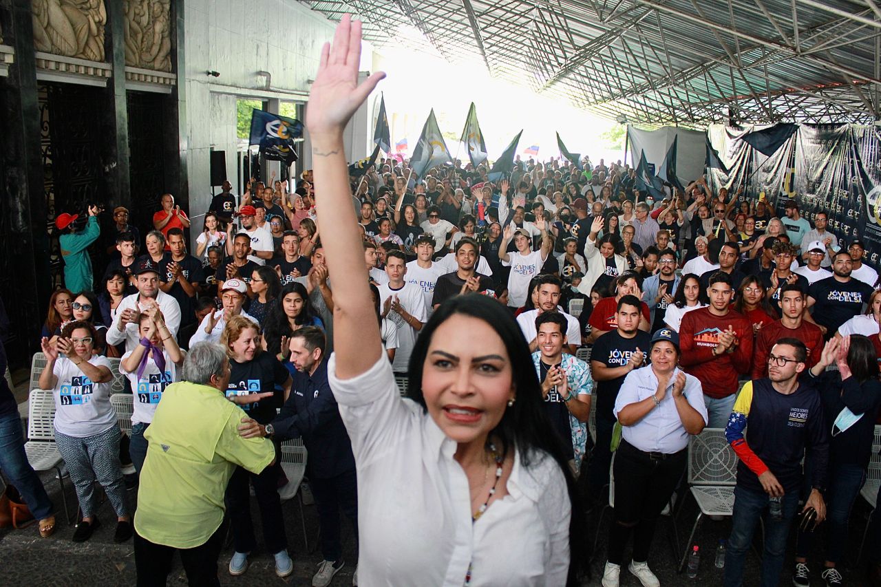 Delsa Solórzano: Es vital que se garantice la confidencialidad de los datos de los electores en la primaria