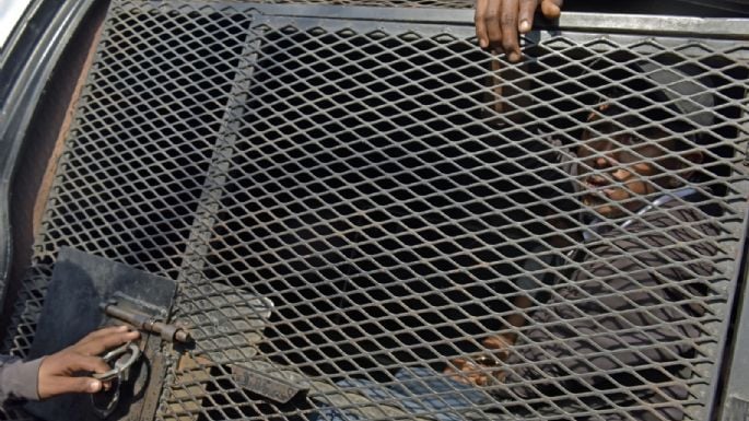 Cartel del Golfo secuestra a 50 migrantes en México, entre ellos venezolanos
