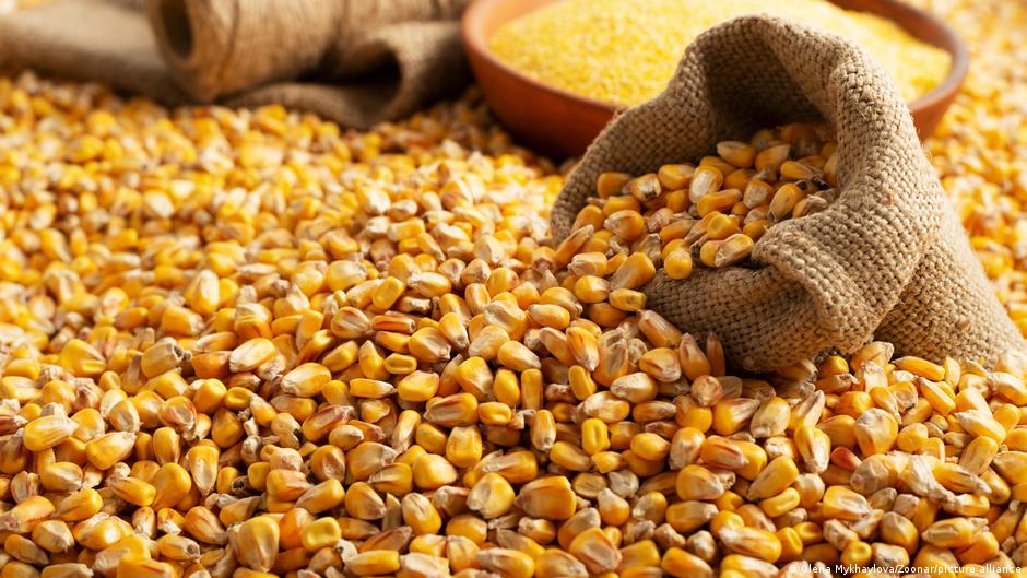 Precios mundiales de los alimentos suben por primera vez en un año