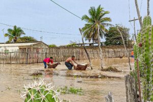 Plan de adaptación al cambio climático