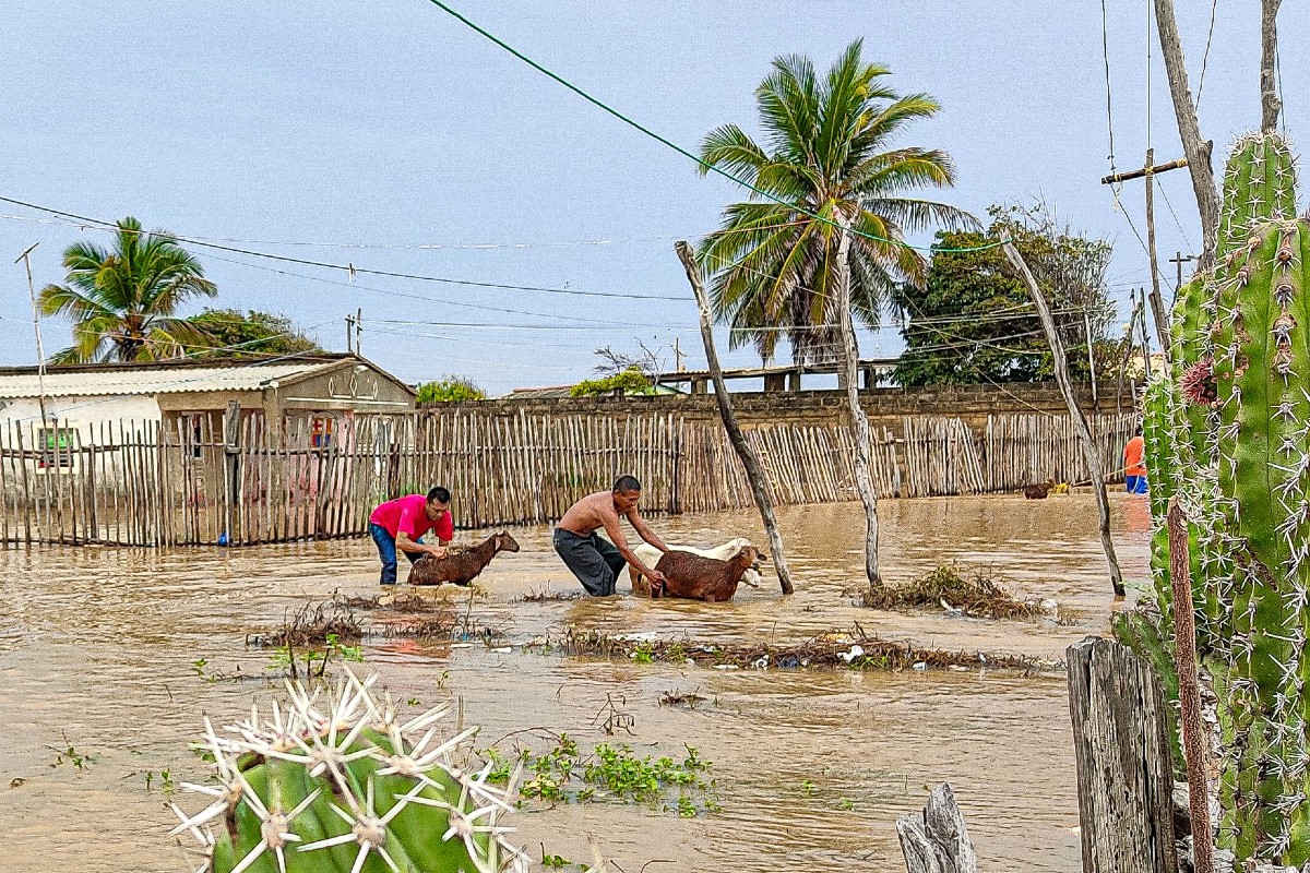 Plan de adaptación al cambio climático