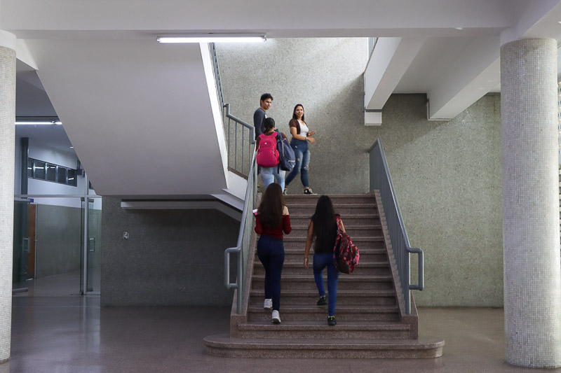 La dinámica universitaria
