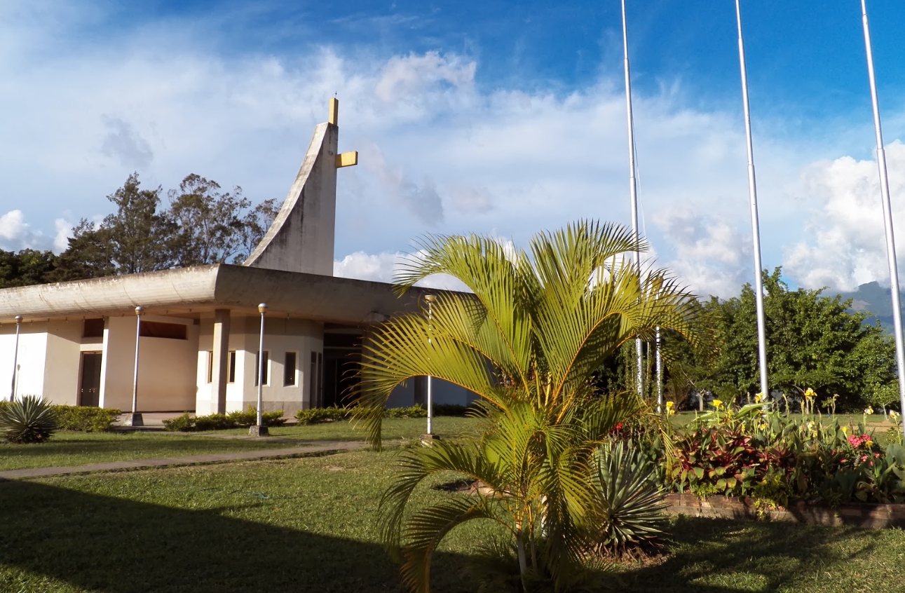 seminario san cristobal abuso sexual