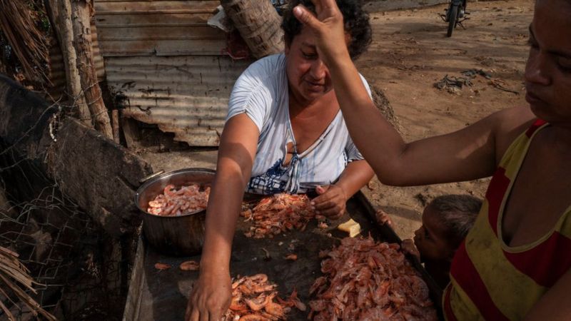 Cómo la industria camaronera de Venezuela está transformando el Lago de Maracaibo, el mayor símbolo de la bonanza petrolera del país