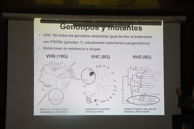 Día mundial de la hepatitis- Congreso (Mairet Chourio)