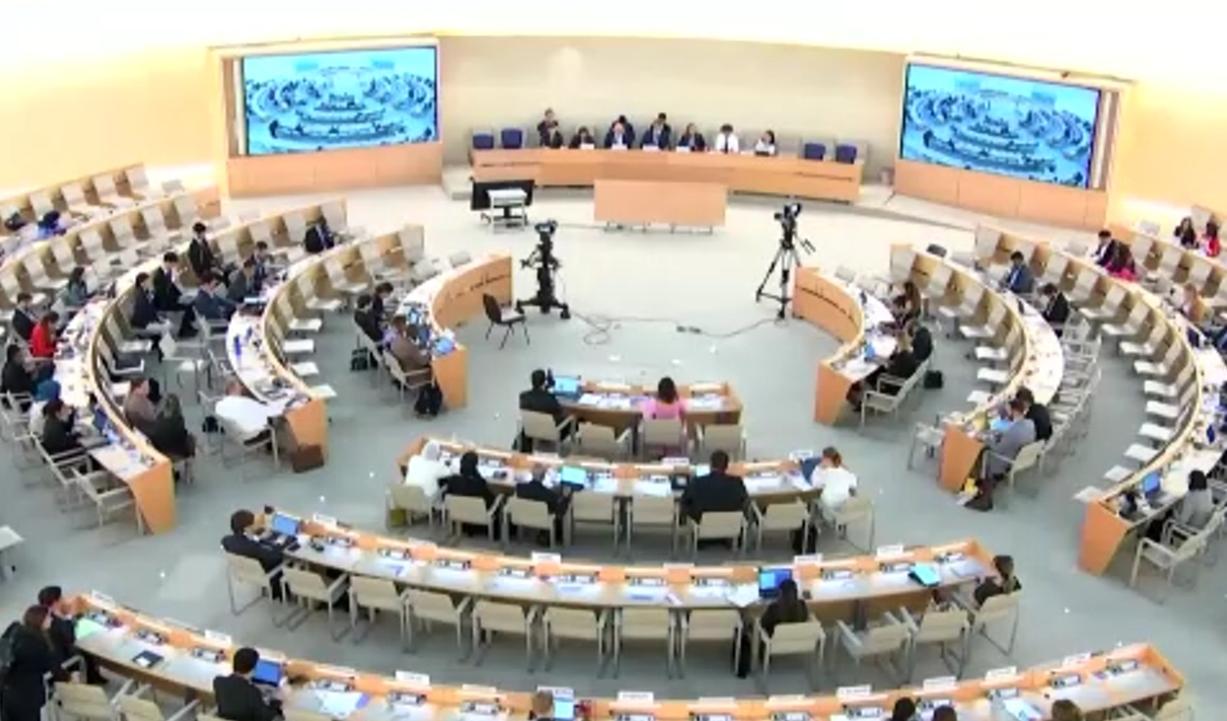 consejo derechos humanos