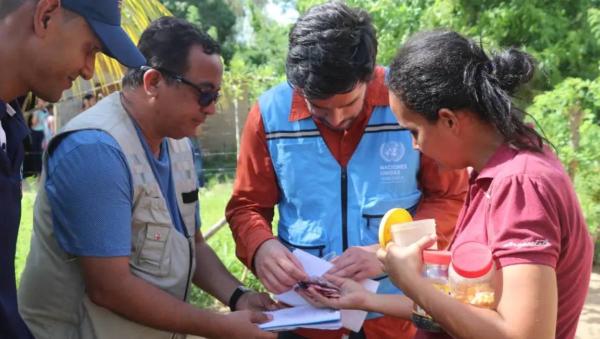 ocha venezuela