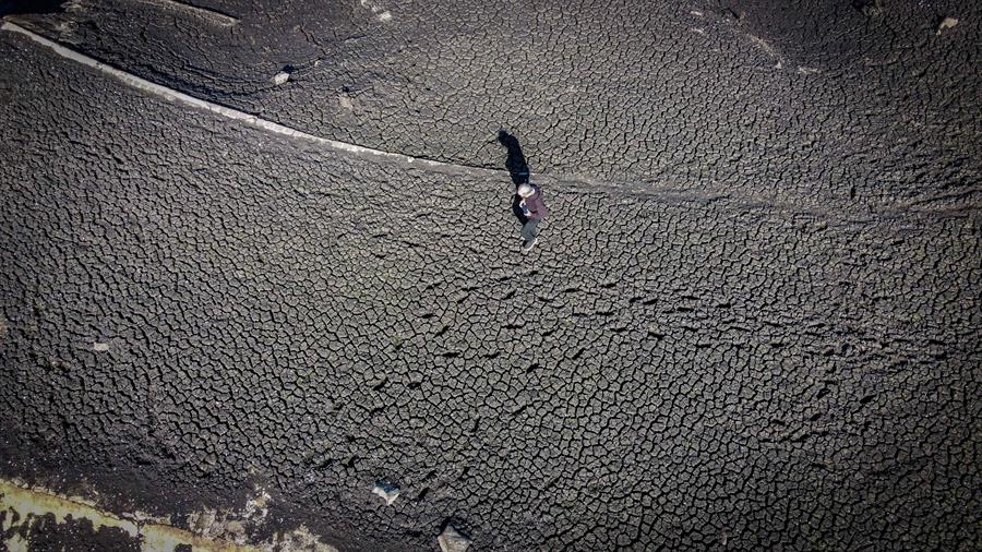 Olas de calor continuarán hasta agosto, advierte la ONU