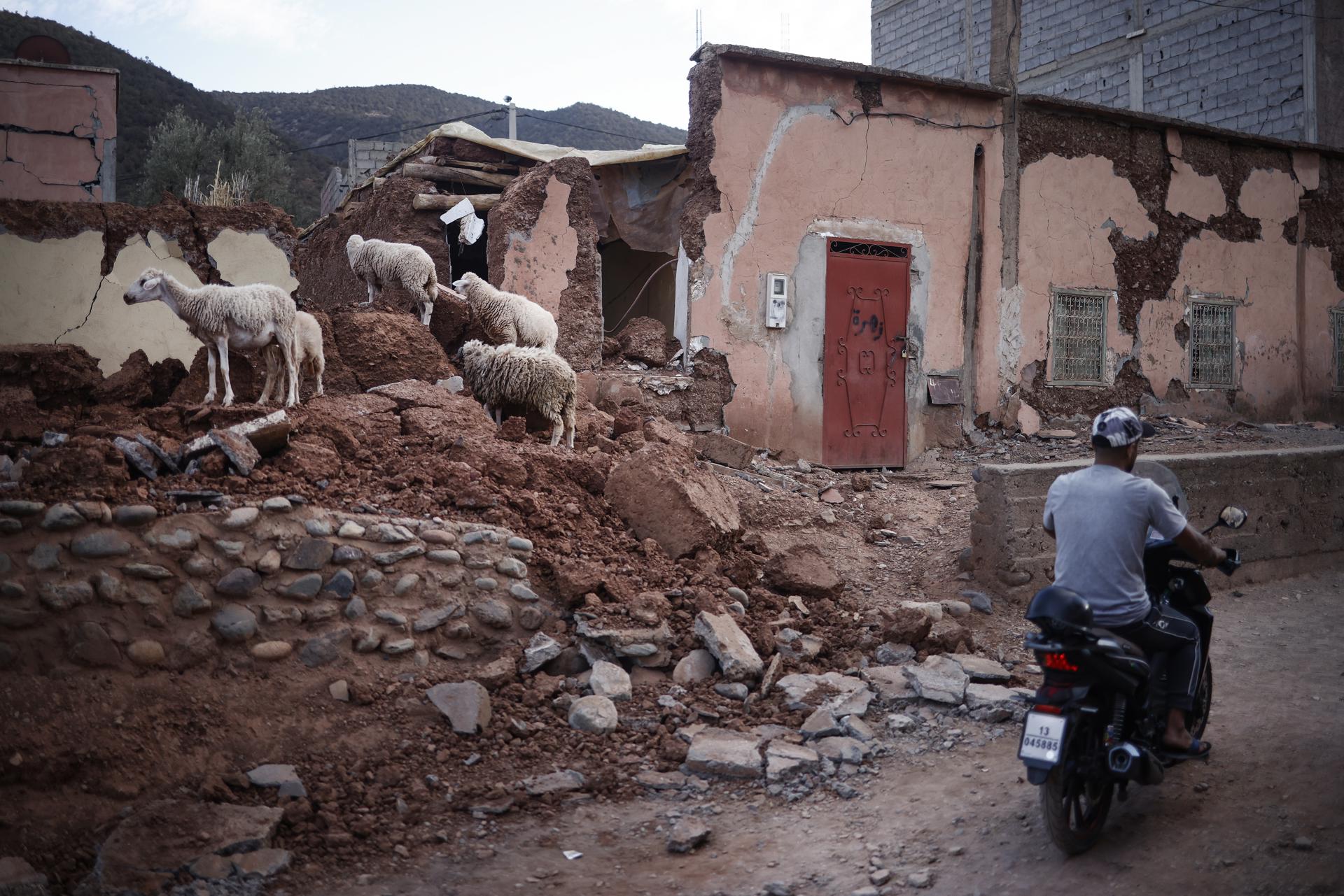 Cruz Roja destina un millón de euros para asistencia en terremoto de Marruecos