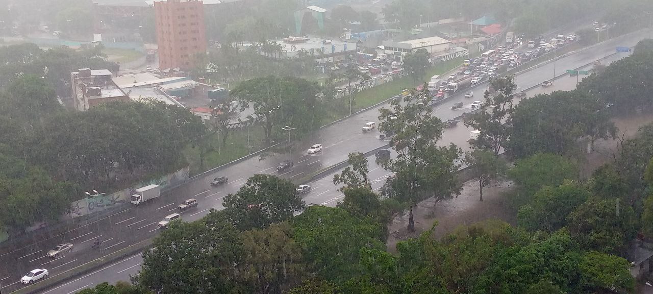 Avenidas, calles y túneles anegados y árboles caídos dejan lluvias en Caracas