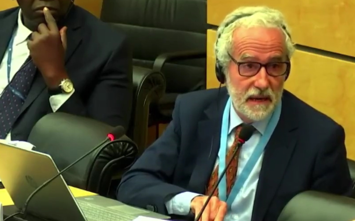 Comité de DDHH de la ONU