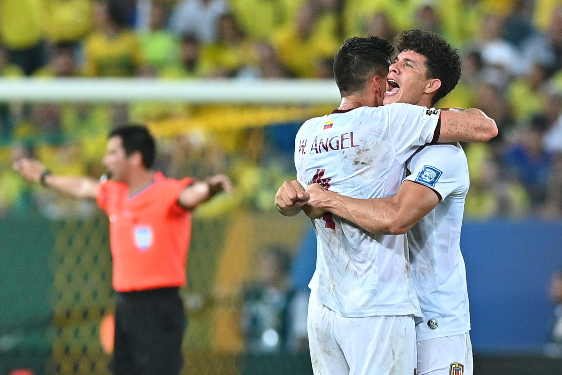 La vinotinto