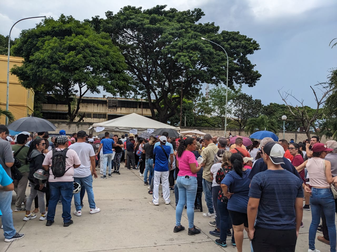 En Carabobo se superó la estimación de participación de votantes en la primaria