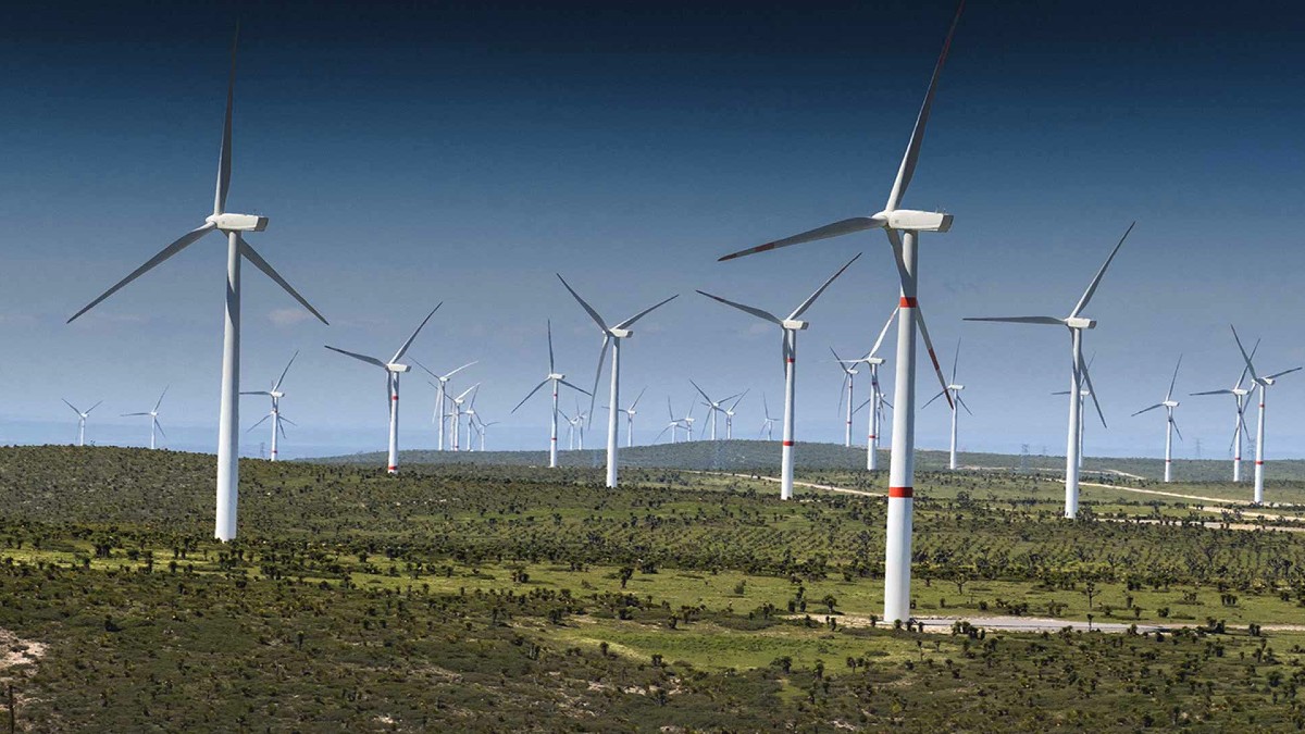 Cámara Venezolana de Energías Renovables