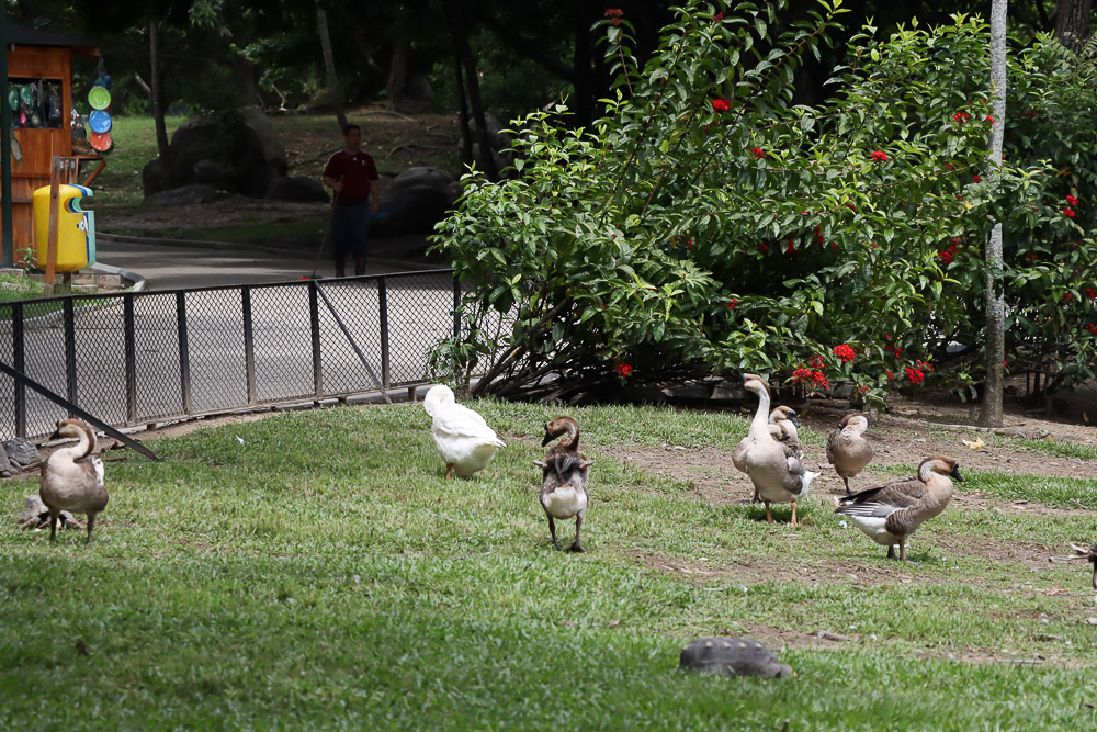 Parque Miranda (Mairet Chourio)