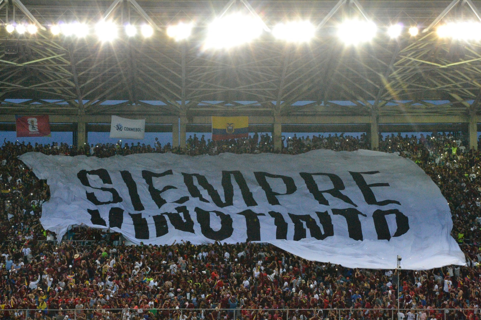 Vinotinto