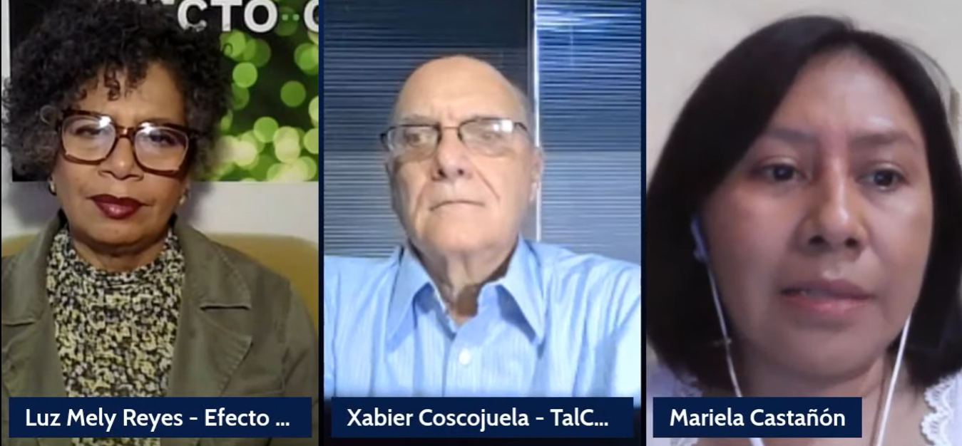 Cocuyo Claro y Raspao Mariela Casteñón