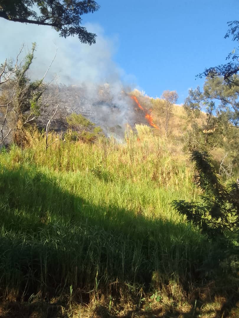 Cuerpo de bomberos de Caracas confirma "incendio forestal de mediana proporción en el Ávila"